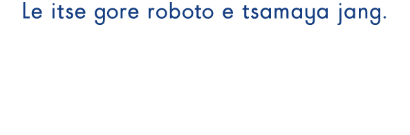Le itse gore roboto e tsamaya jang.