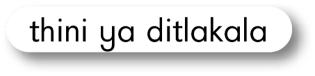 thini ya ditlakala