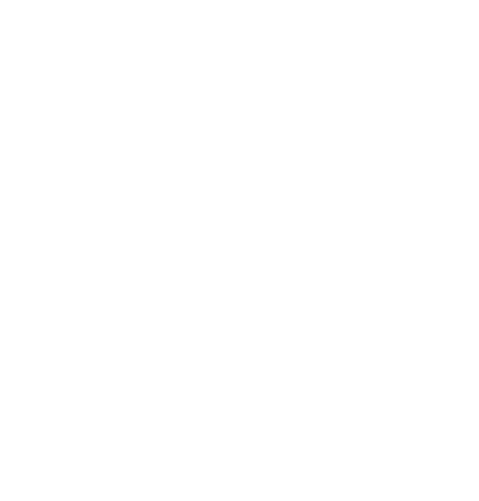 A reading programme that coaches young readers to develop deeper comprehension skills. 