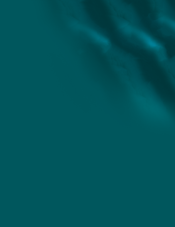 iSimangaliso Wetland Park in KwaZulu-Natal province of South Africa. A Natal tree frog (Leptopelis natalensis) perches on a fern in a wetland.