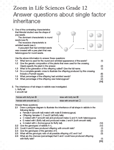 Grade 12 Archives - Oxford University Press Southern Africa
