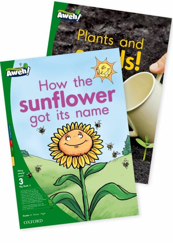 Aweh! Grade 1 Level 3 Big Book 3