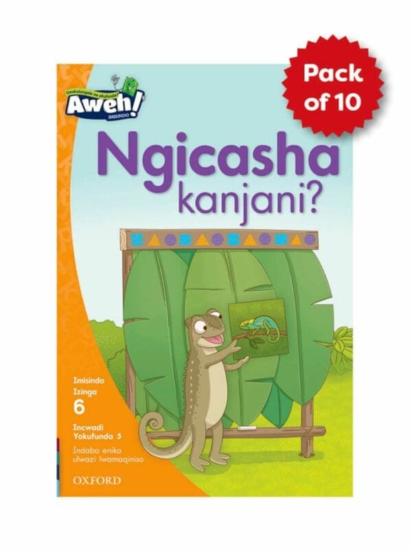 Aweh! Ibanga 2 Izinga 6 Ipheki yezincwadi zokufunda (ziyi-10)