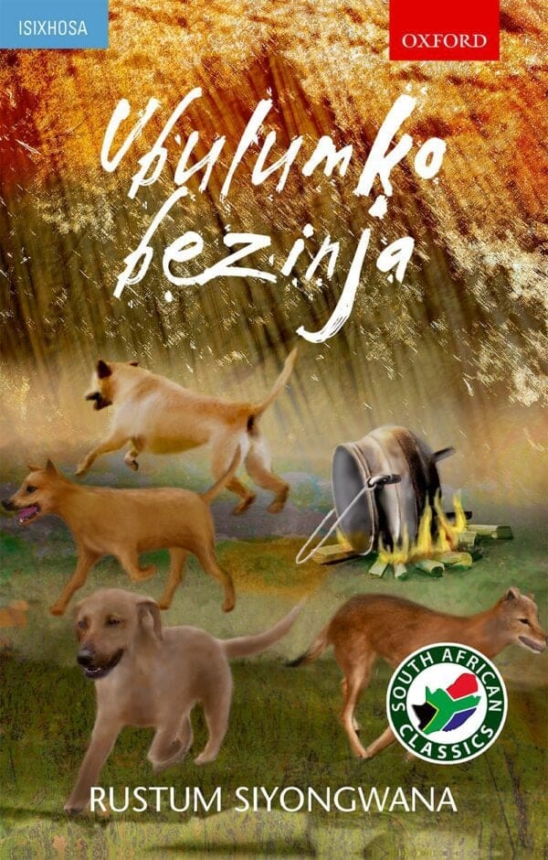 Ubulumko Bezinja (FET novel with study notes)