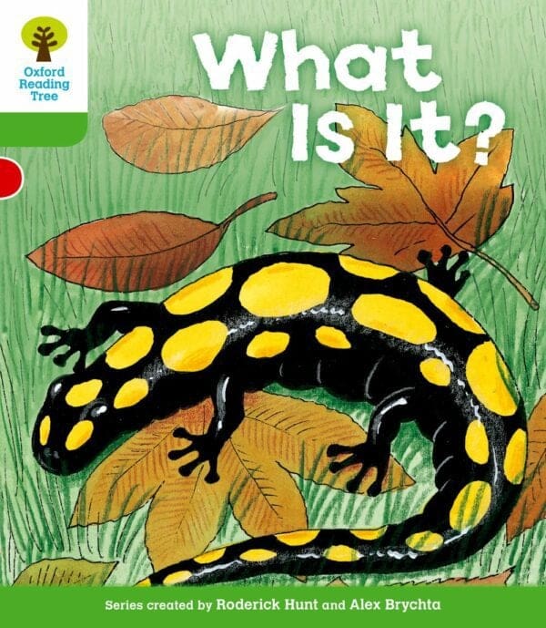 ORT Stage 2 More Patterned Stories What is It?
