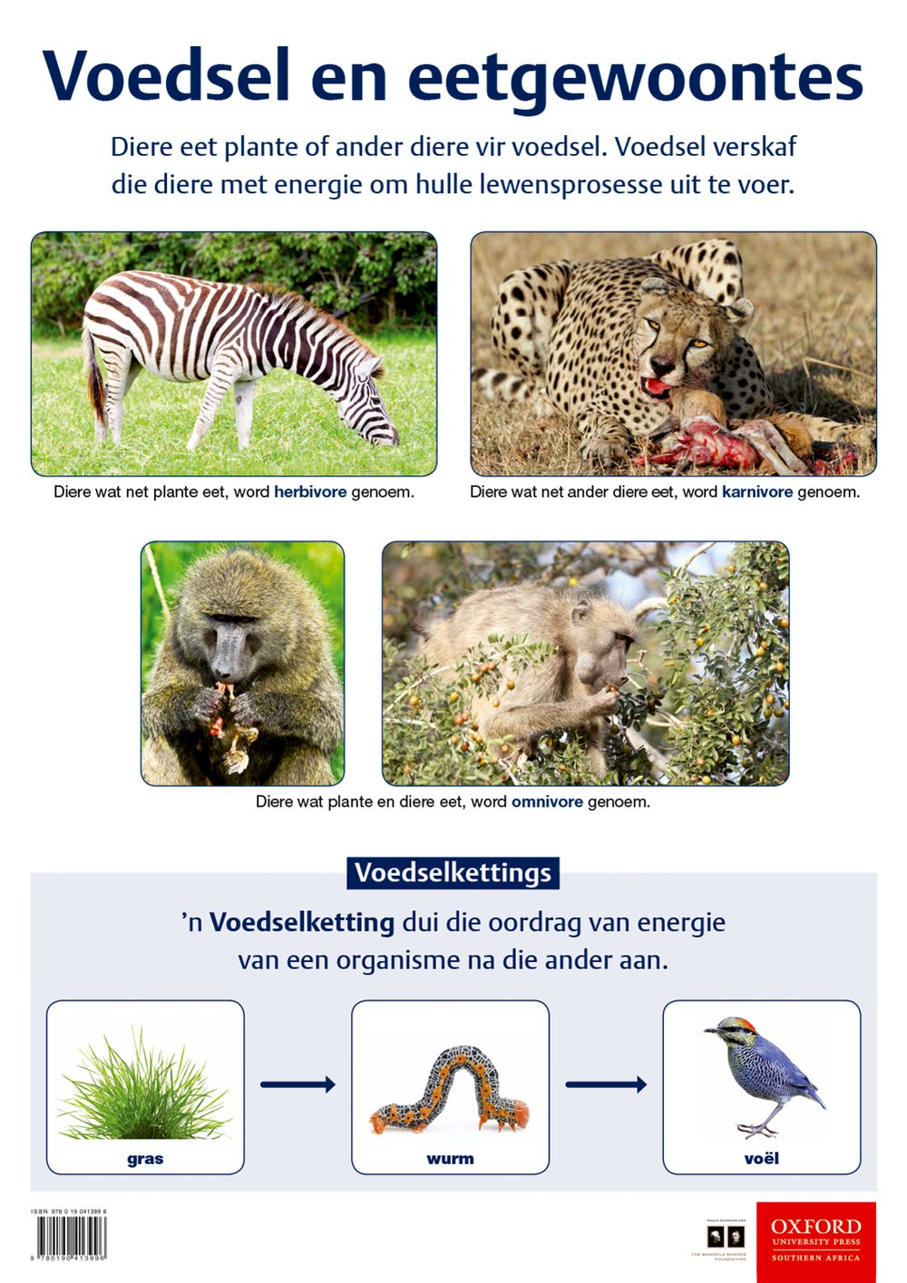Poster: Natuurwetenskappe en Tegnologie - Voedsel en eetgewoontes