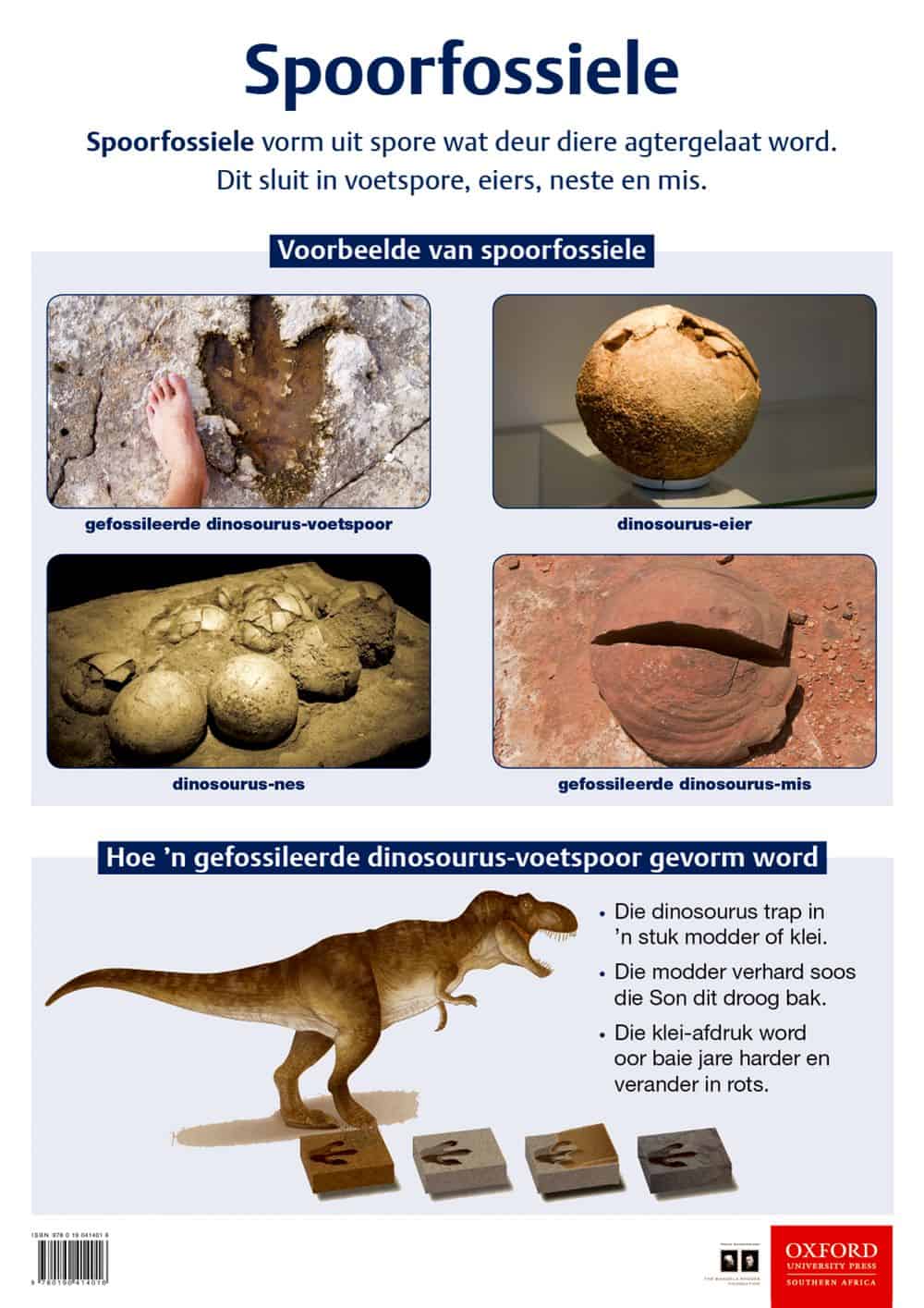 Poster: Natuurwetenskappe en Tegnologie - Spoorfossiele