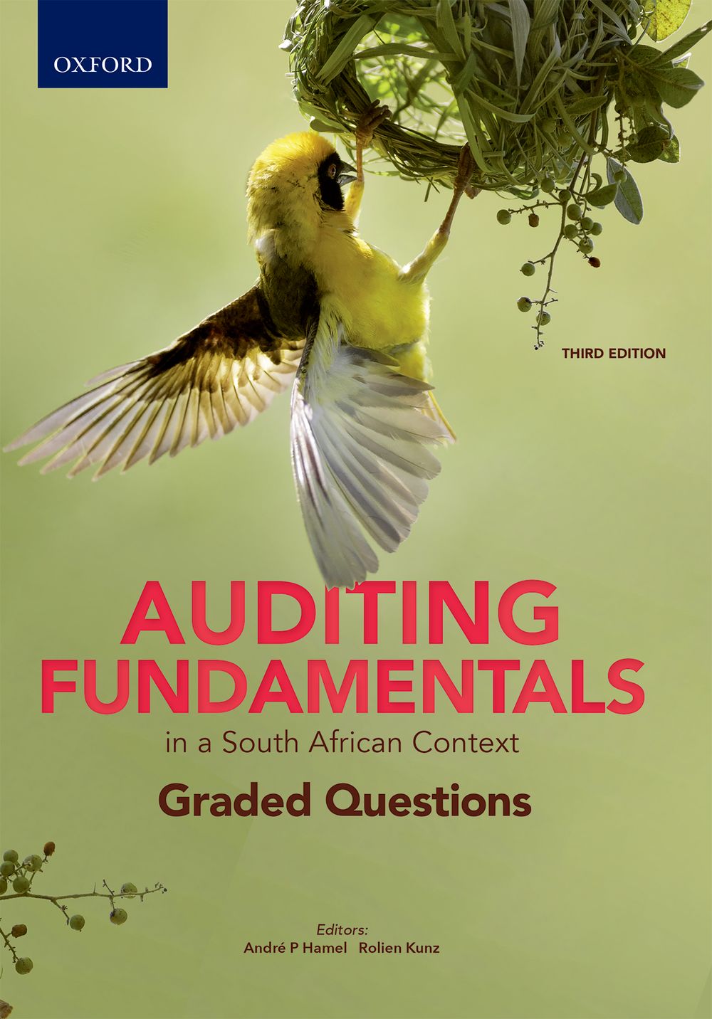 Auditing Fundamentals in a South African Context: Graded Question, 3e ePub